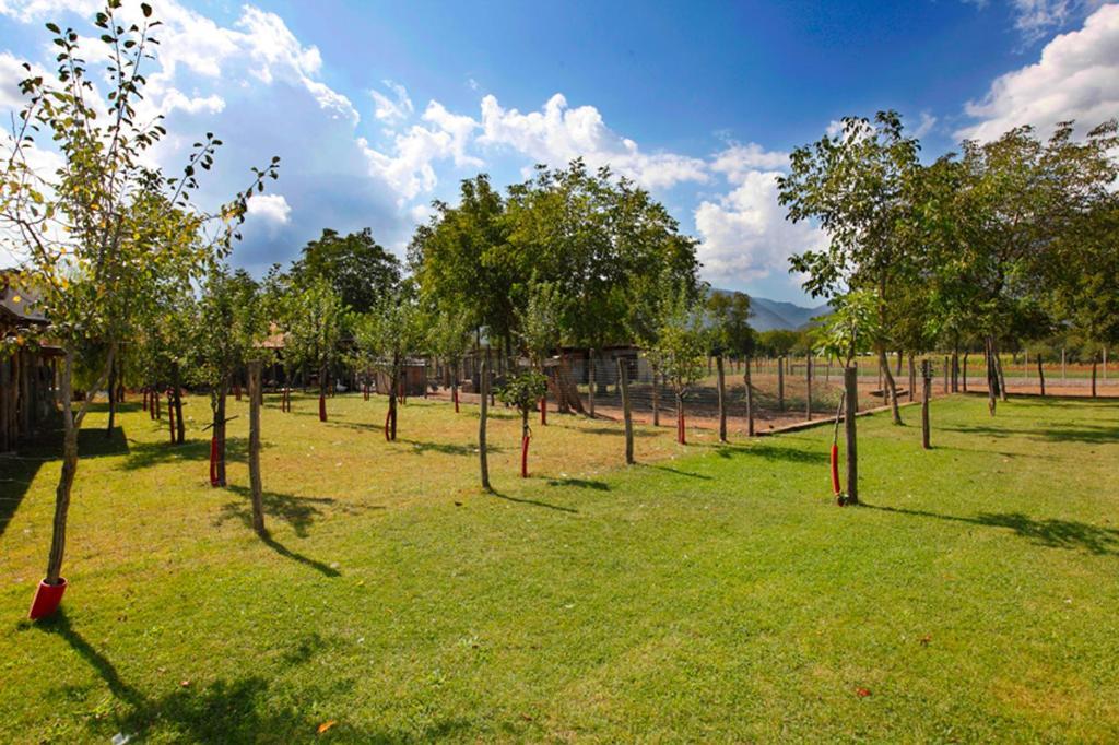 مونتيلا Azienda Agrituristica Pericle المظهر الخارجي الصورة