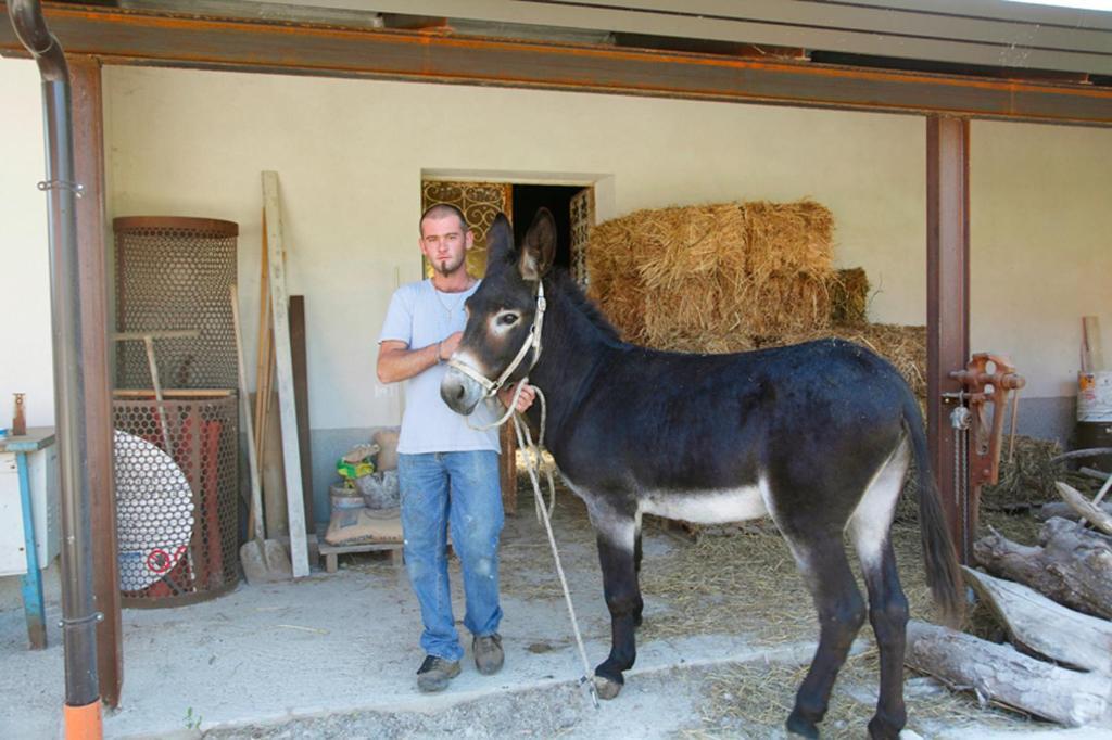 مونتيلا Azienda Agrituristica Pericle المظهر الخارجي الصورة