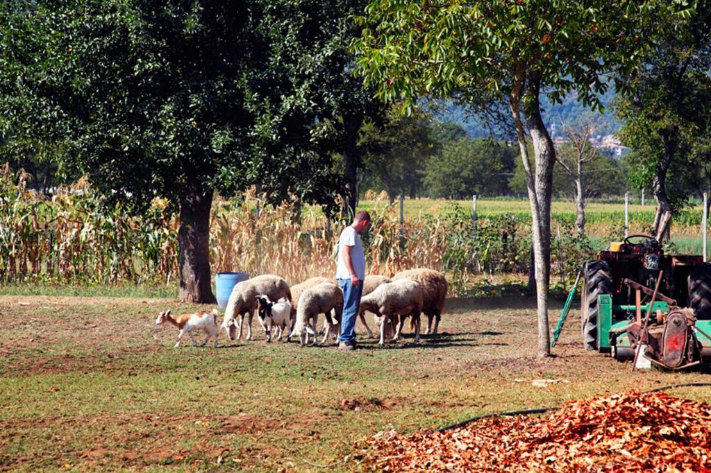 مونتيلا Azienda Agrituristica Pericle المظهر الخارجي الصورة