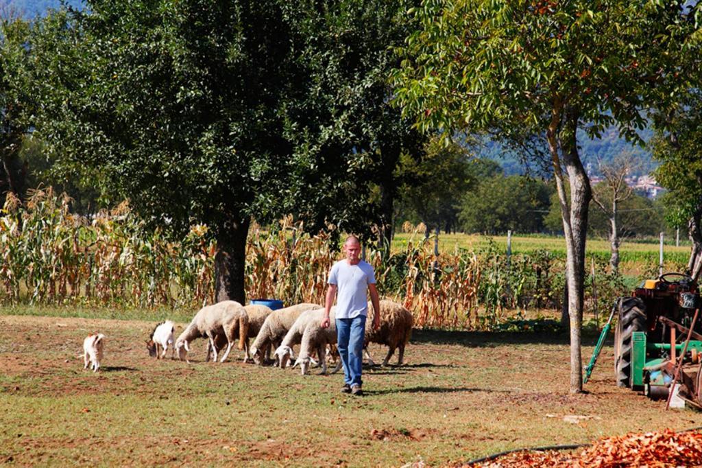 مونتيلا Azienda Agrituristica Pericle المظهر الخارجي الصورة